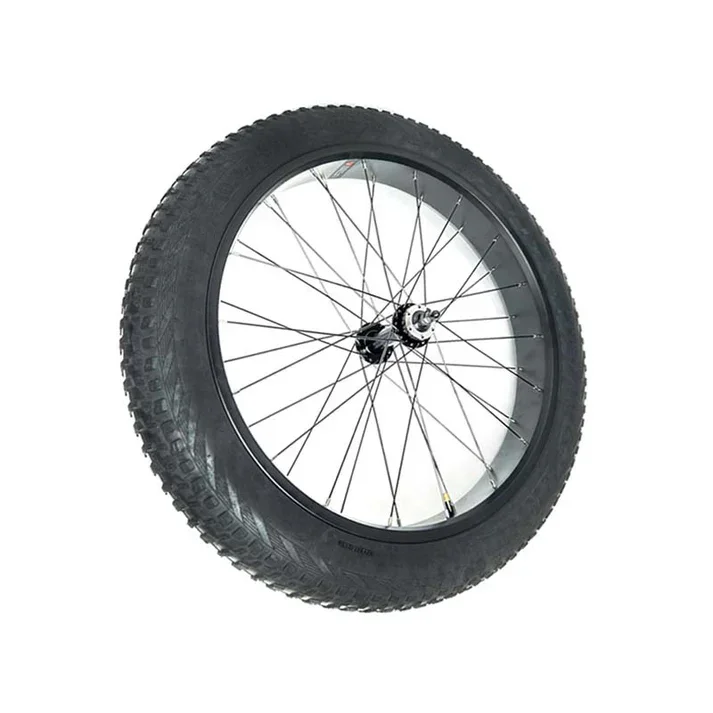 Varun Ebike Front Wheel Set